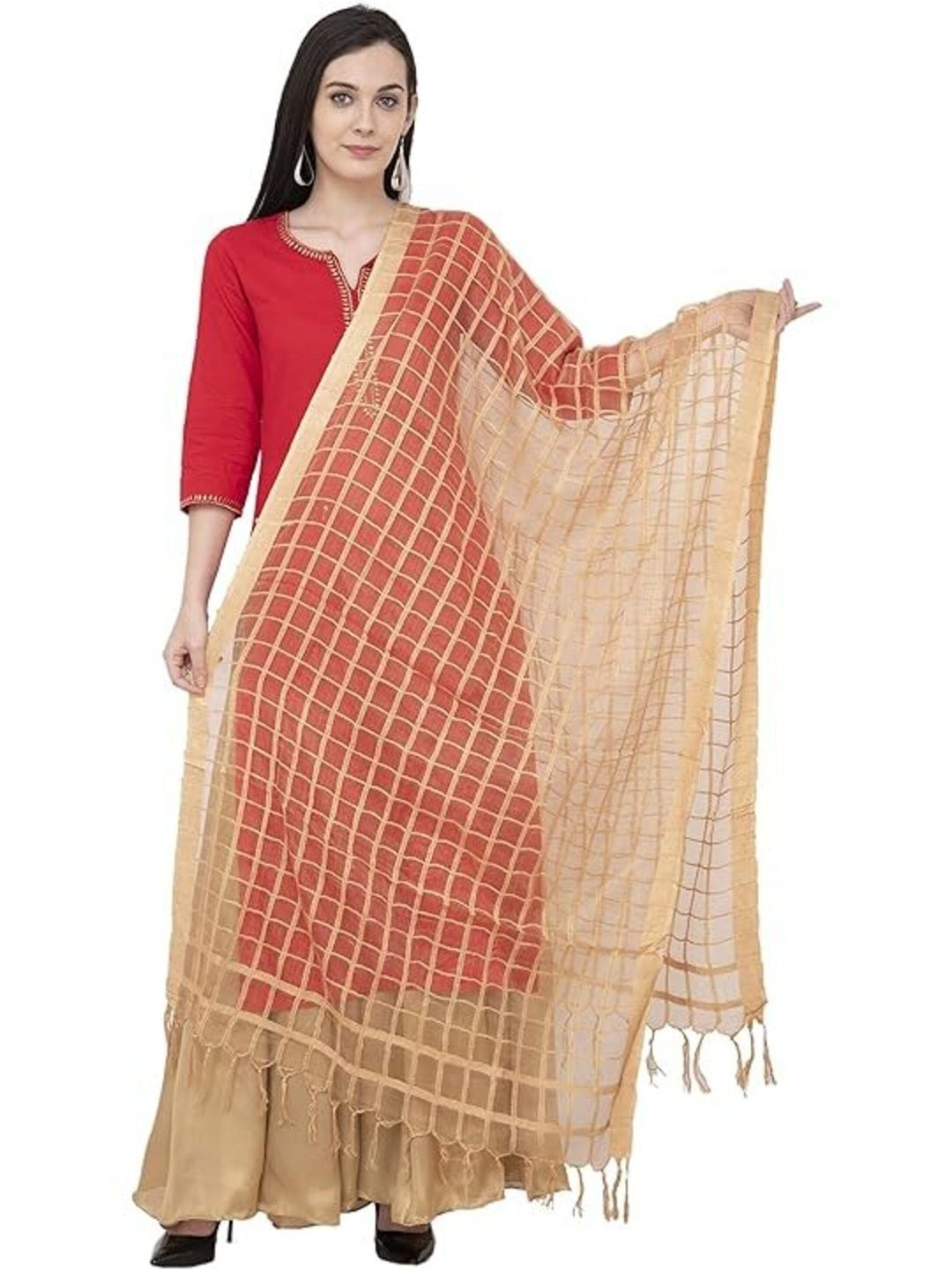 MOEZA Checked Dupatta-picture-18