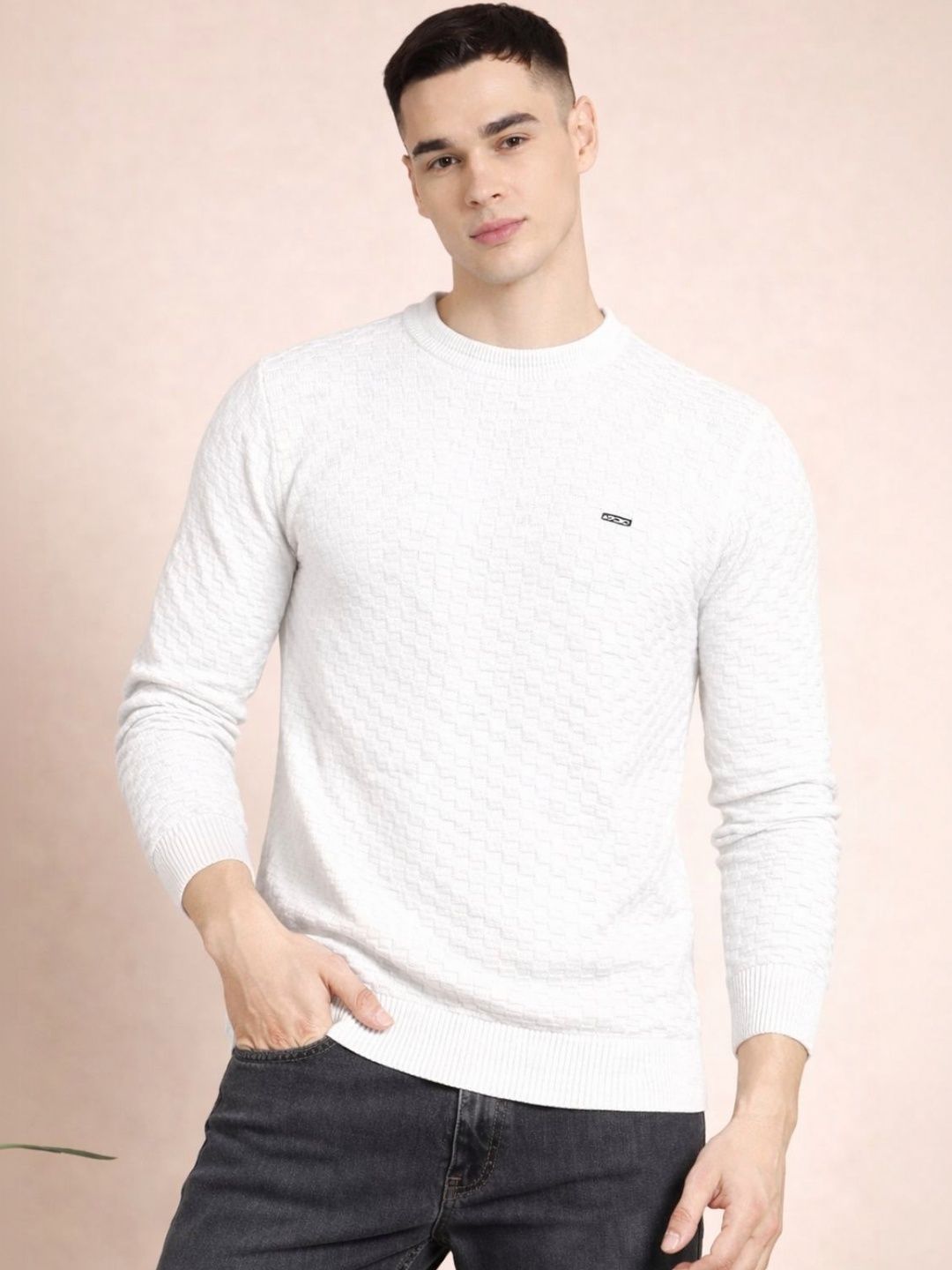 FEVERFEW Men Pullover-picture-29