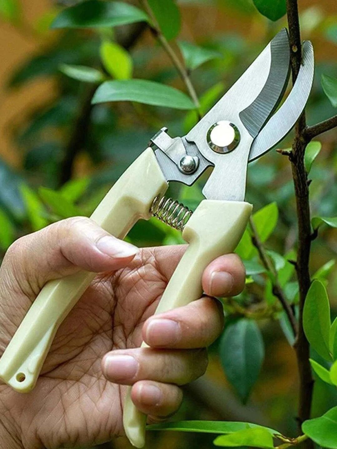 DeoDap Cream-Colored & White Garden Shears Pruners Scissor-picture-34