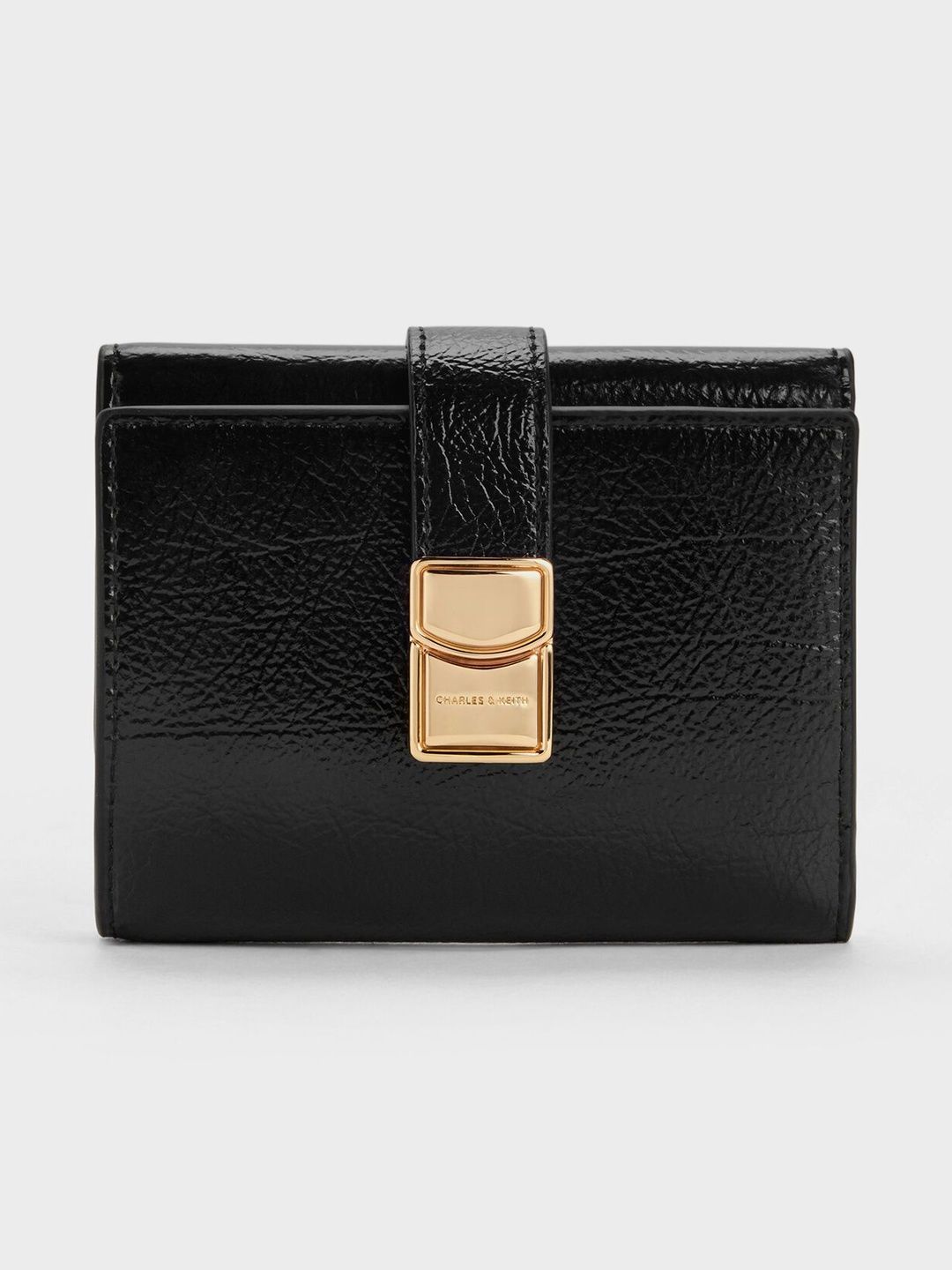 CHARLES & KEITH Acelynn Belted Small Wallet-picture-20