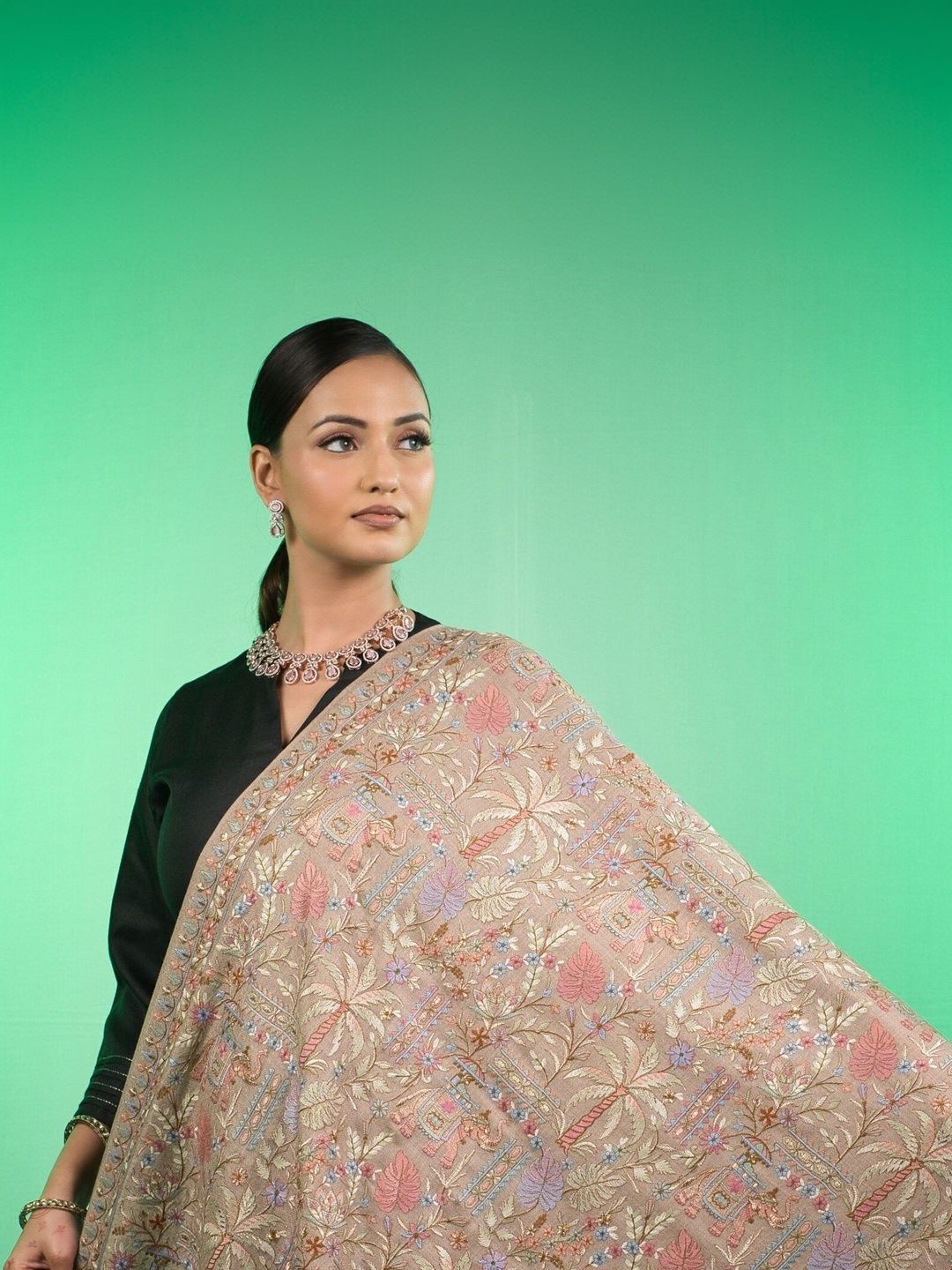Mount Gray Women Ethnic Motifs Embroidered Shawl-picture-33