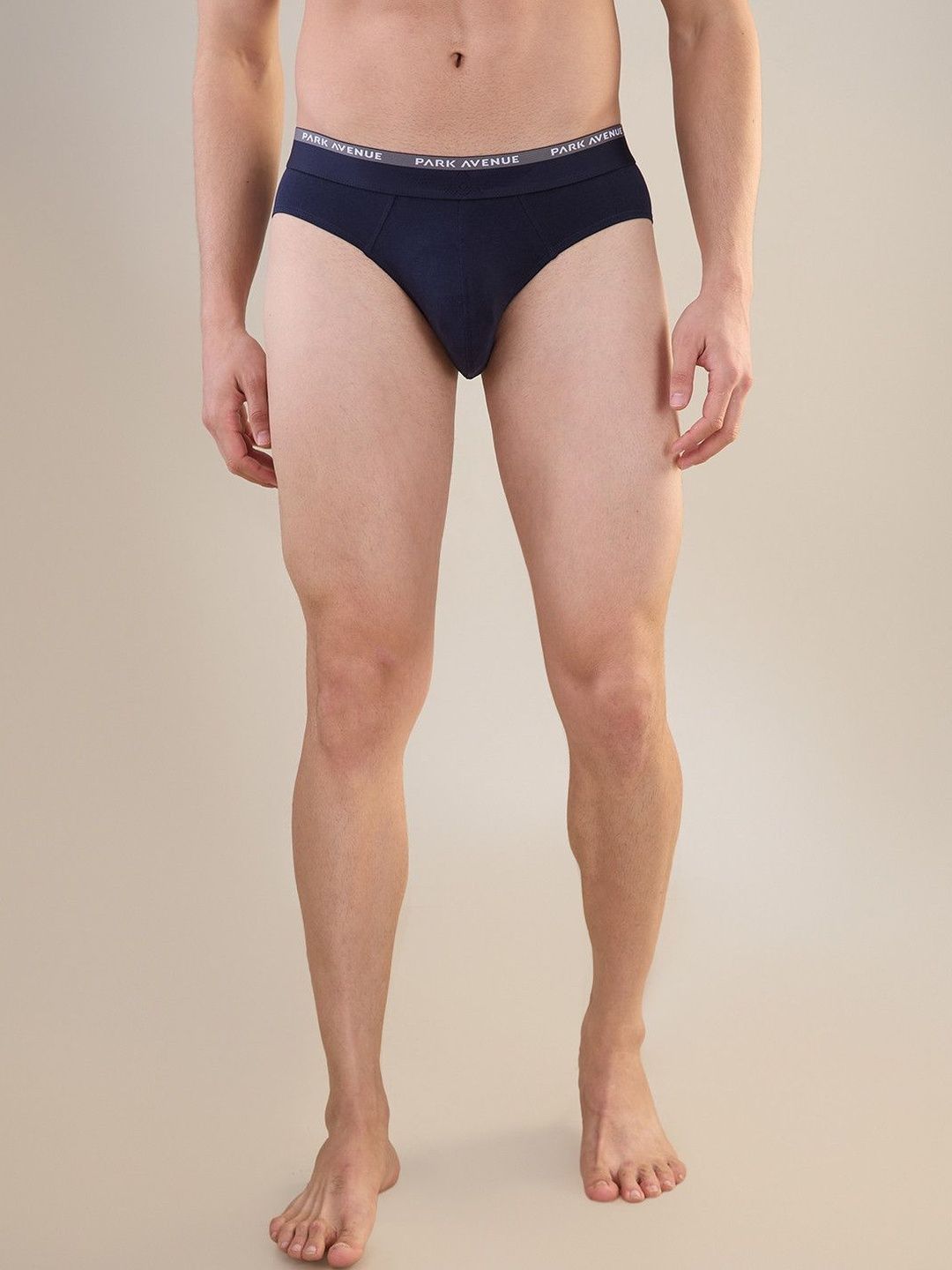 Park Avenue Men Basic Briefs-picture-42