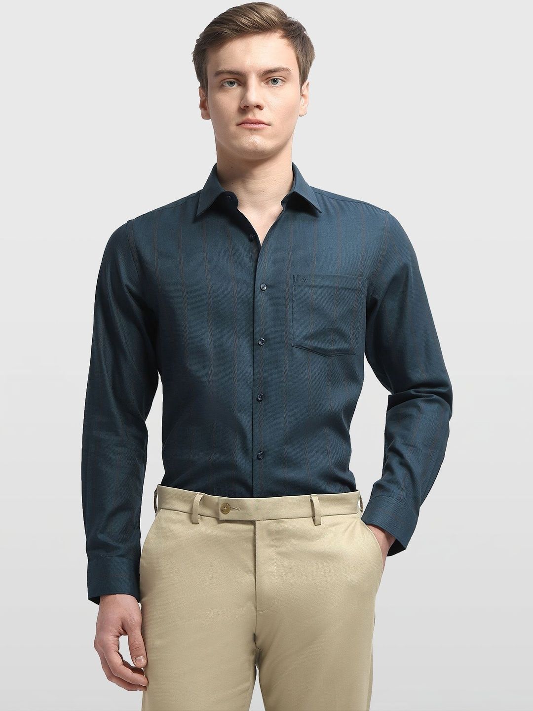 Arrow Men Pinstripes Striped Casual Shirt-picture-16