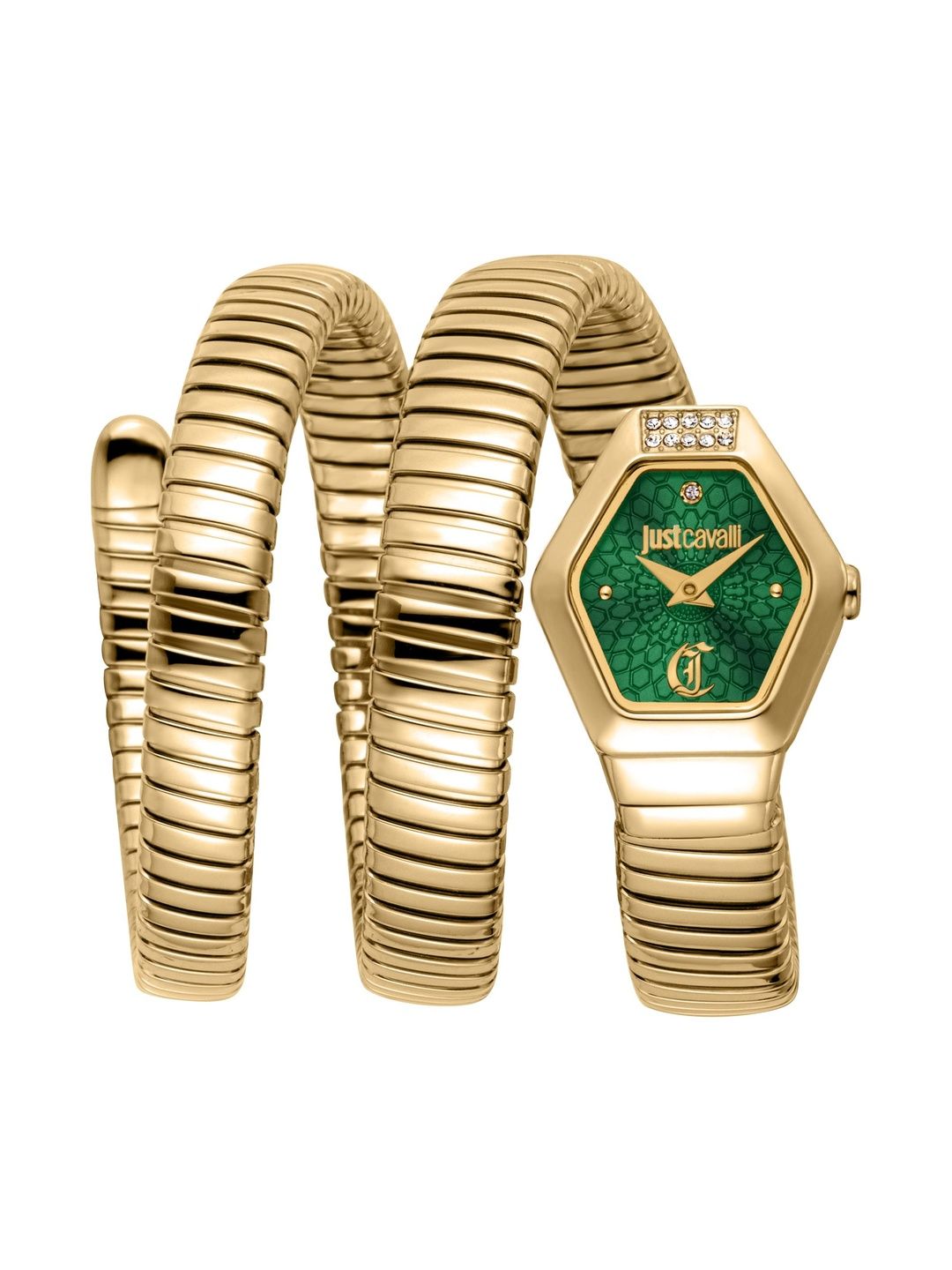 Just Cavalli Women Dial & Wrap Around Straps Analogue Watch JC1L395M0035-image-3