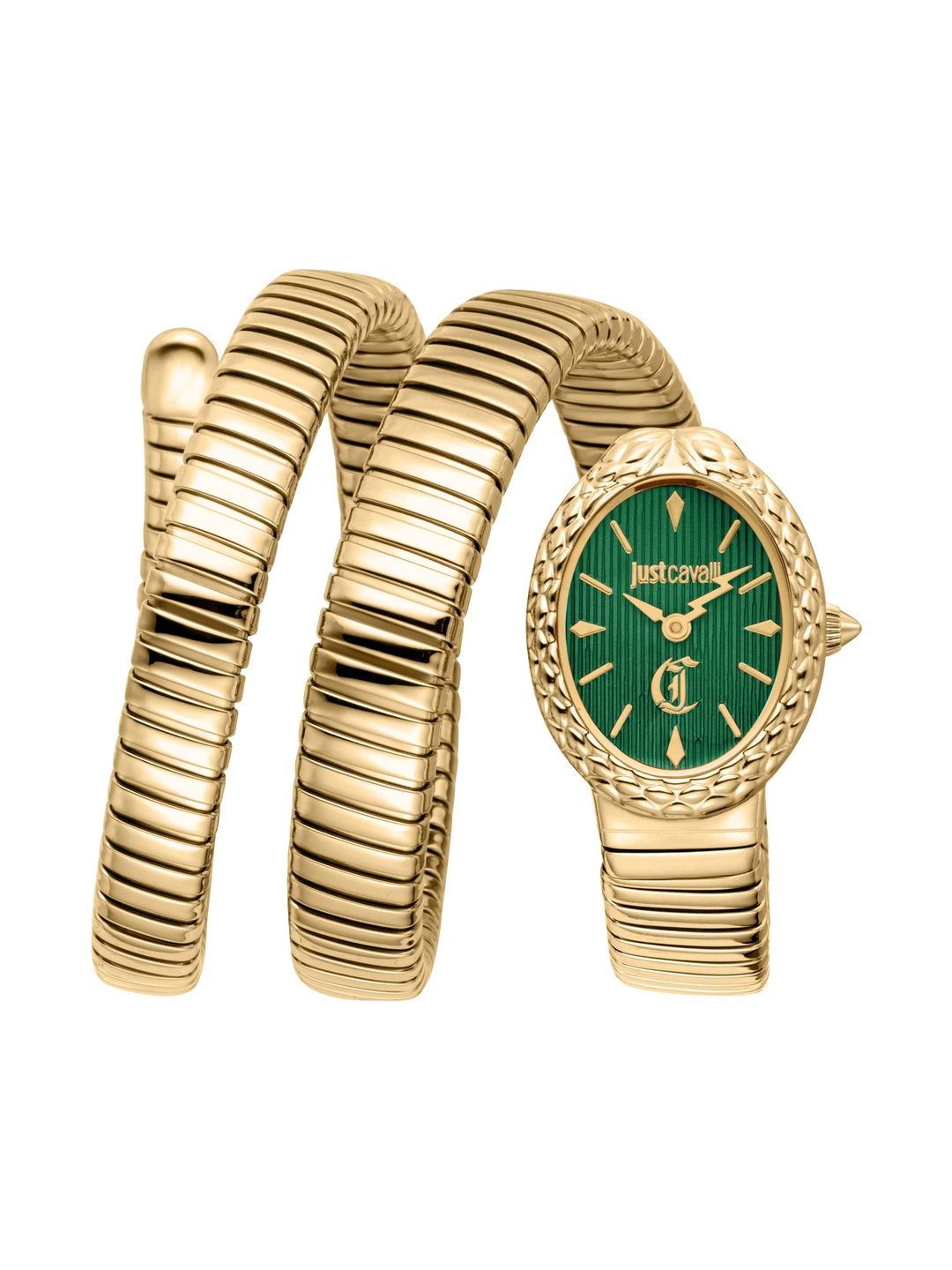 Just Cavalli Women Dial & Bracelet Style Straps Analogue Watch JC1L391M0075-picture-22
