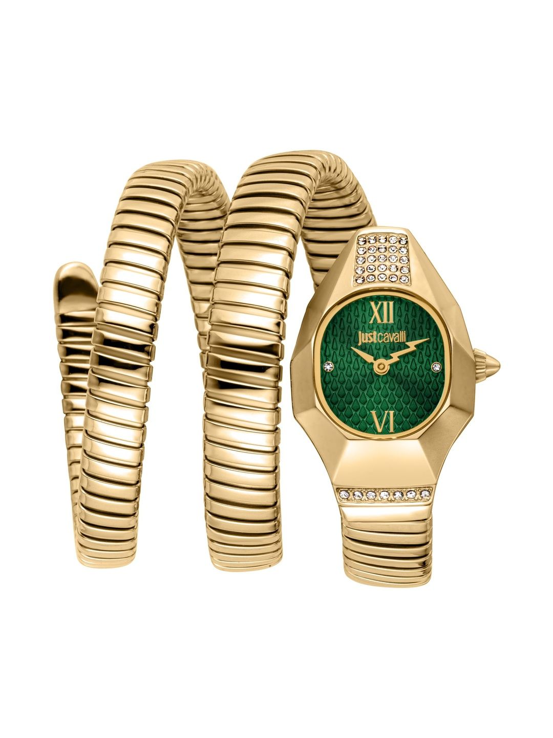Just Cavalli Women Dial & Bracelet Style Straps Analogue Watch JC1L397M0045-image-31