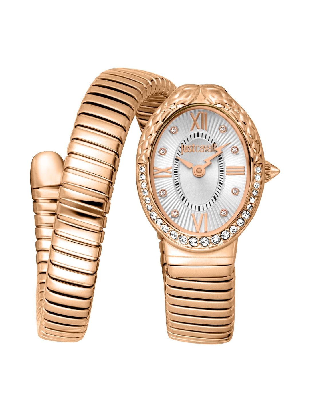 Just Cavalli Women Dial & Wrap Around Straps Analogue Date Aperture Watch-image-25