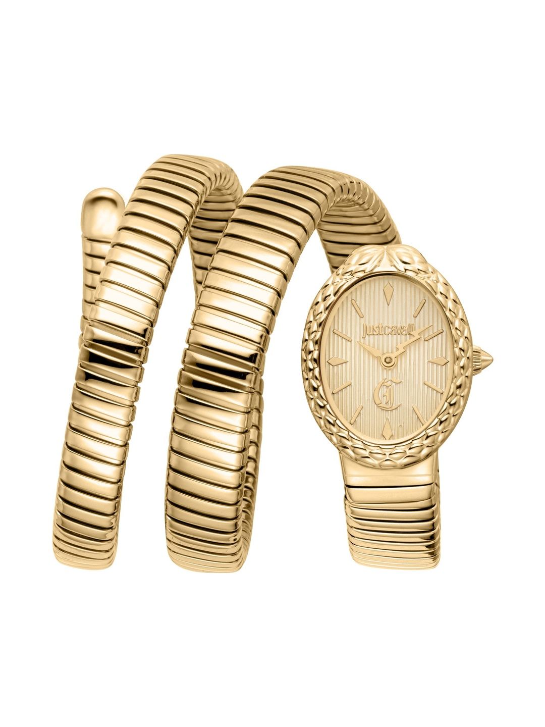 Just Cavalli Women Dial & Wrap Around Straps Analogue Watch JC1L391M0025-image-26