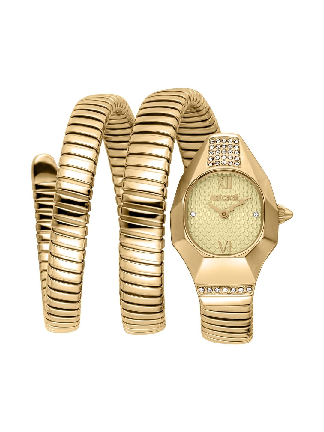Just Cavalli Women Dial & Wrap Around Straps Analogue Watch JC1L397M0035-image-24