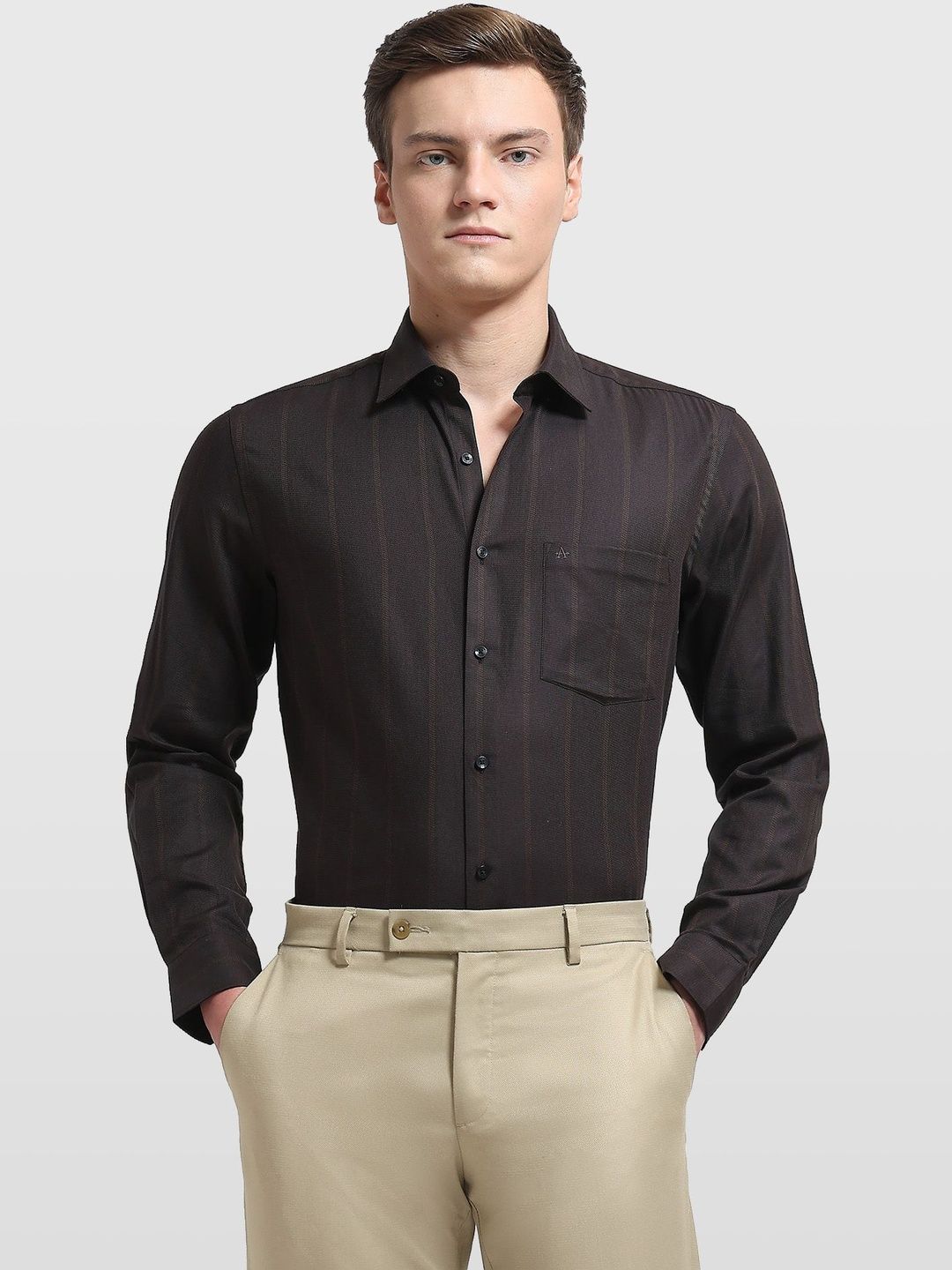Arrow Men Striped Casual Shirt-picture-28