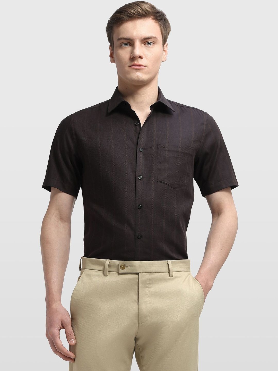 Arrow Men Striped Casual Shirt-picture-29
