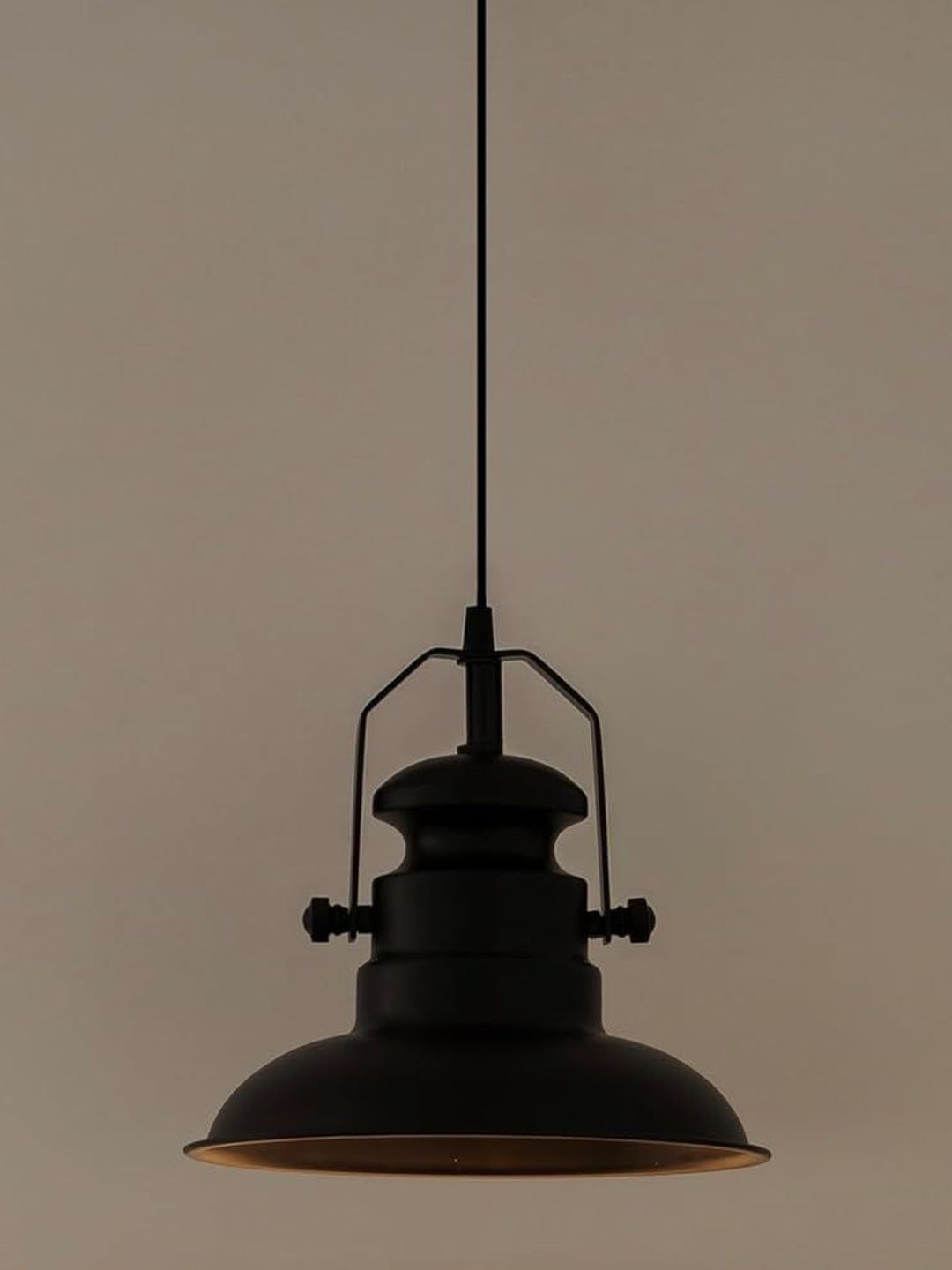 Divine Trends Black & Black Aluminium Ceiling Lamp-image-16