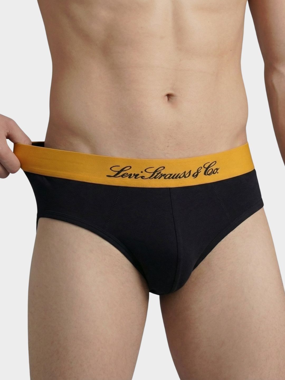 Levis Cotton Mid-Rise Basic Briefs-picture-28