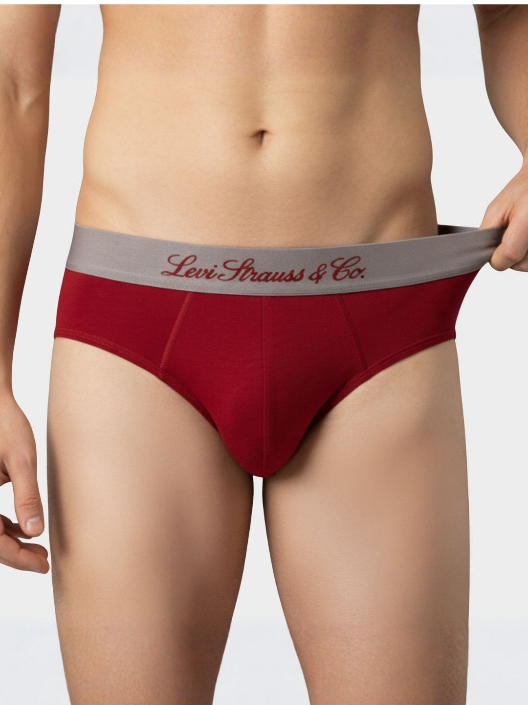 Levis Cotton Mid-Rise Basic Brief-picture-27