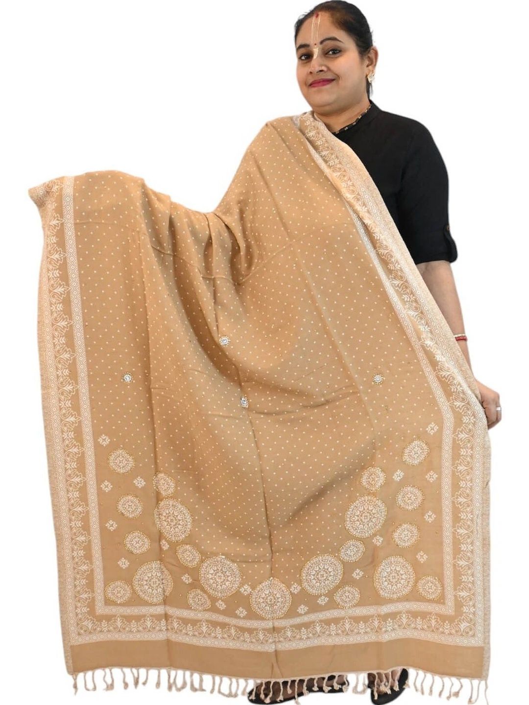 KAVIM Women Ethnic Motifs Printed Shawl-image-42