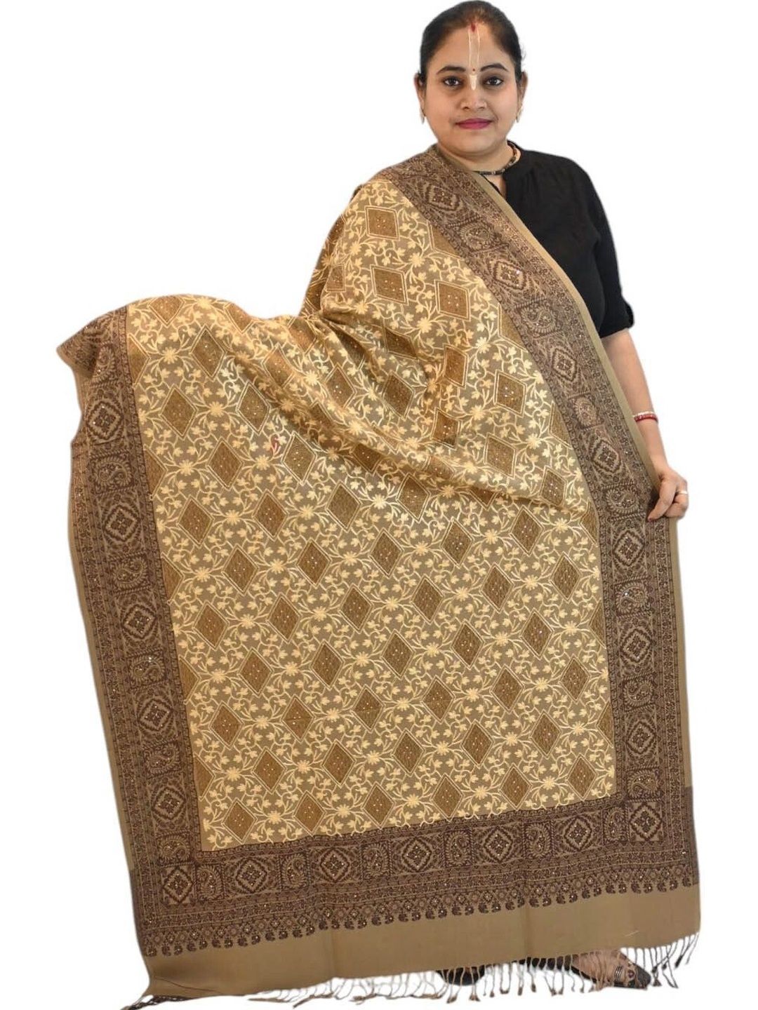 KAVIM Women Ethnic Motifs Embroidered Shawl-image-40