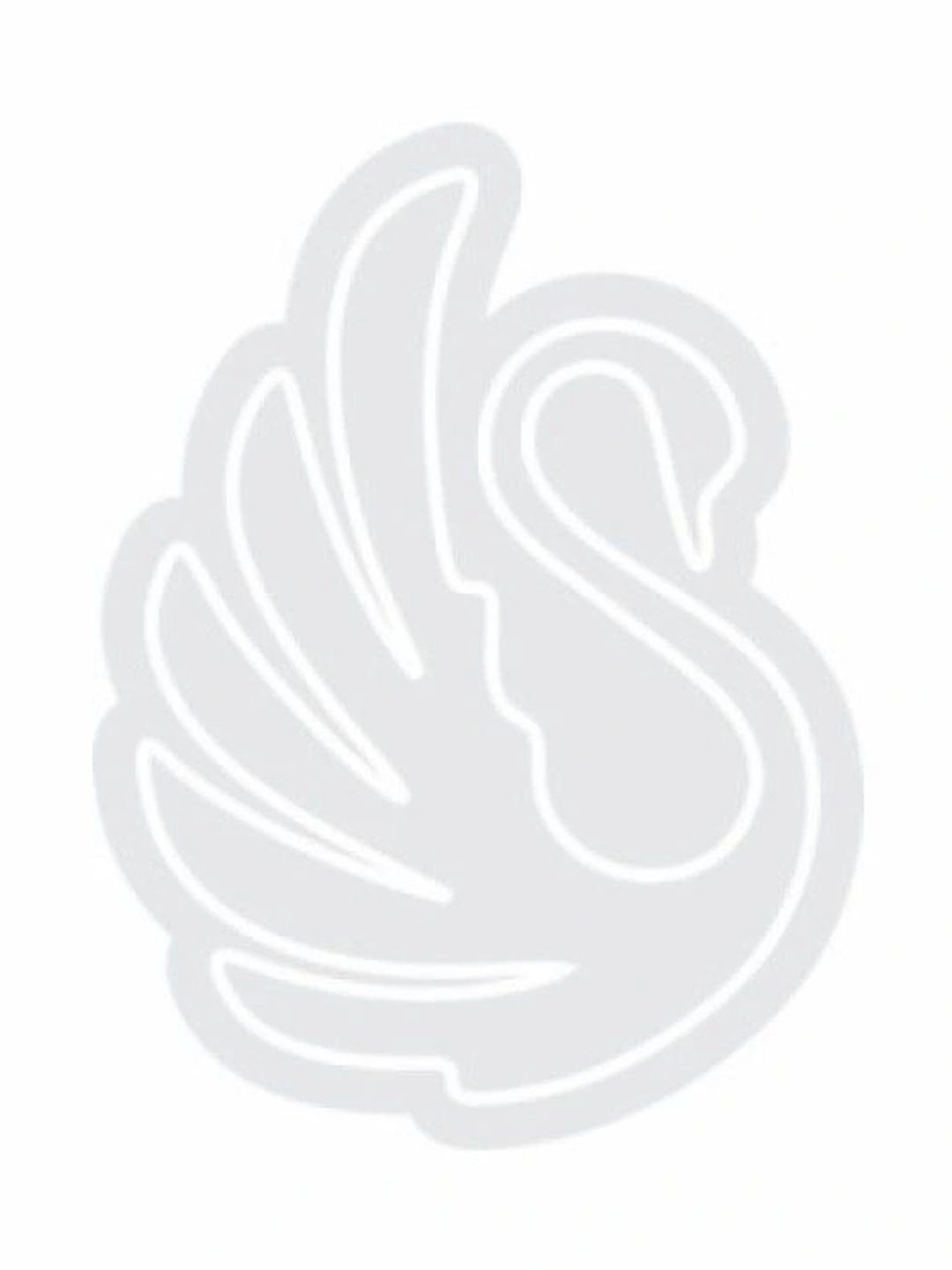 Custom Neon Transparent & White Swan Design Neon Sign-picture-10