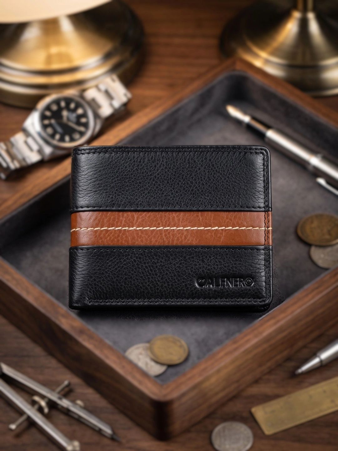 CALFNERO Men Colourblocked Leather Two Fold Wallet-image-36