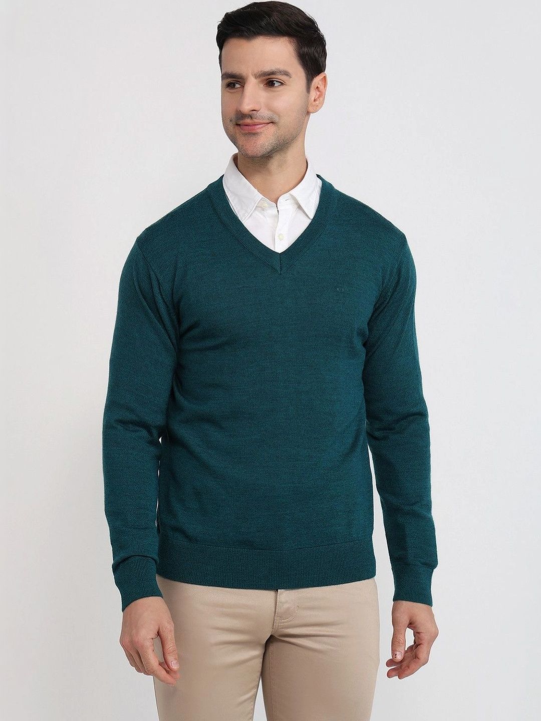 ColorPlus Men Woollen Pullover-picture-39