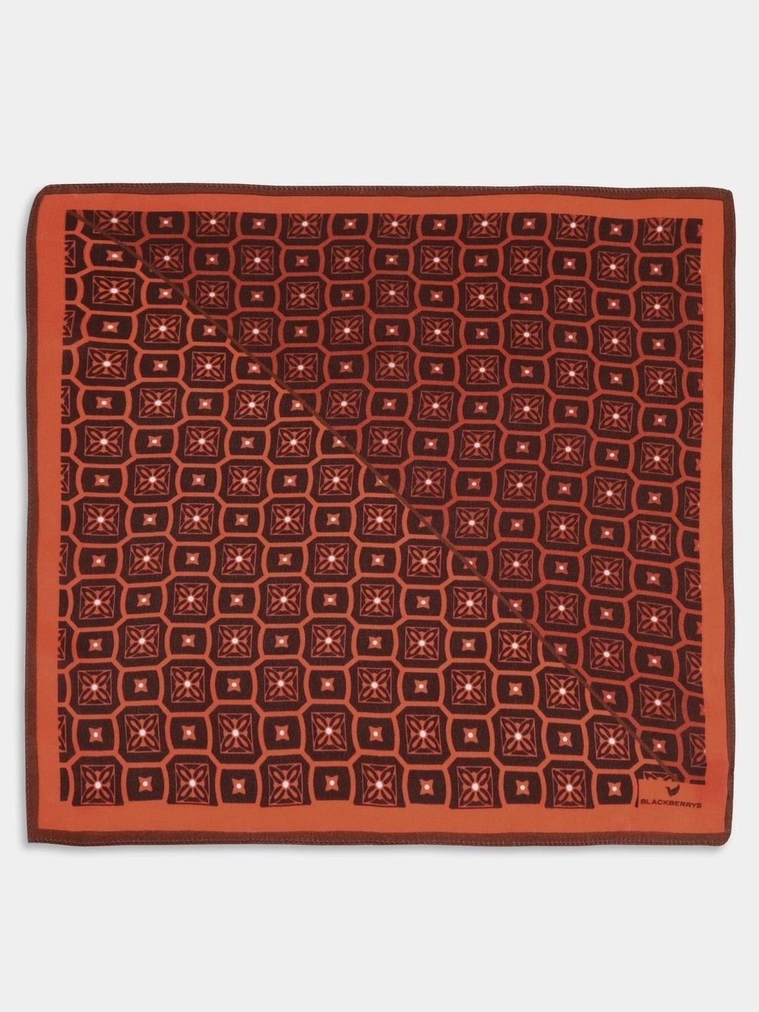Blackberrys Printed Silk Pocket Squares-picture-16
