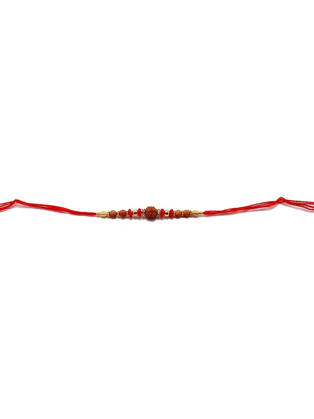 SPRHA Rakhi-picture-10