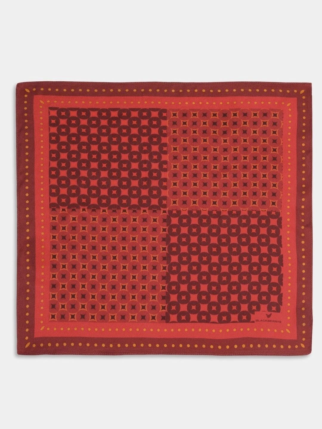 Blackberrys Printed Silk Pocket Squares-picture-13