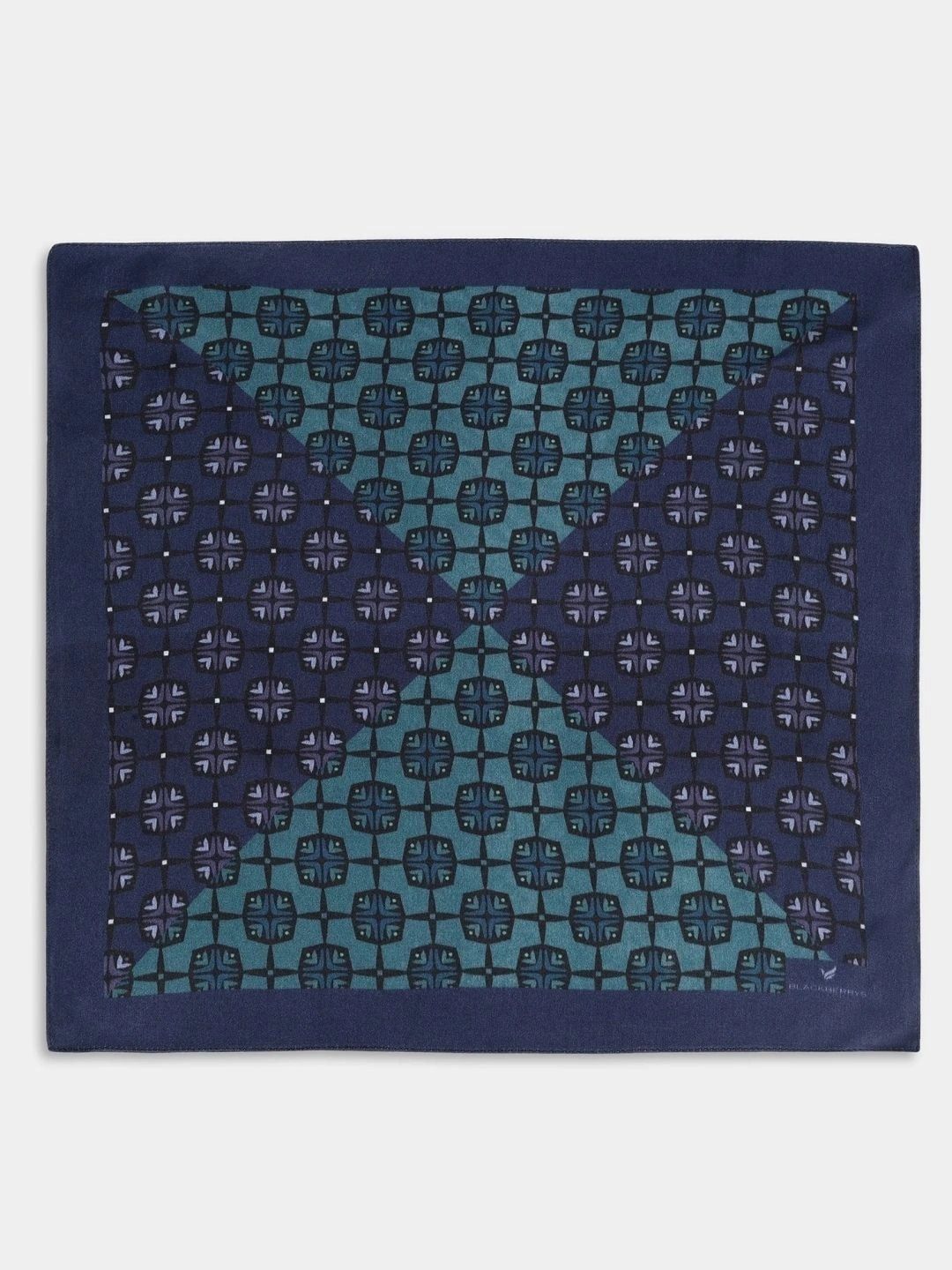 Blackberrys Printed Silk Pocket Squares-picture-18