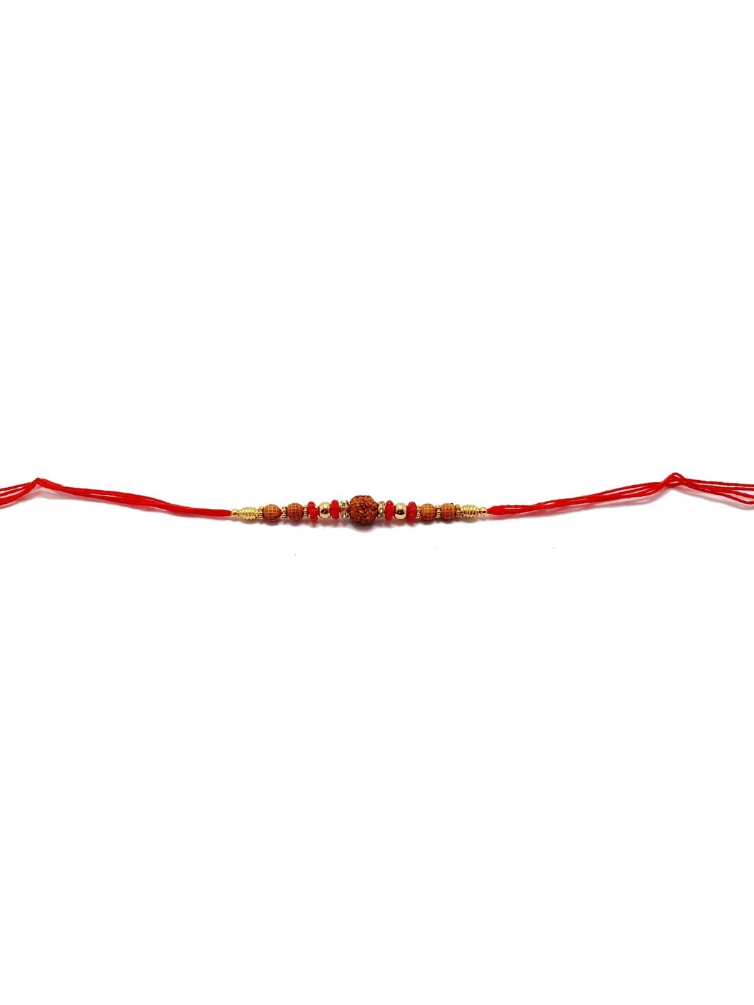 SPRHA Rakhi-picture-37