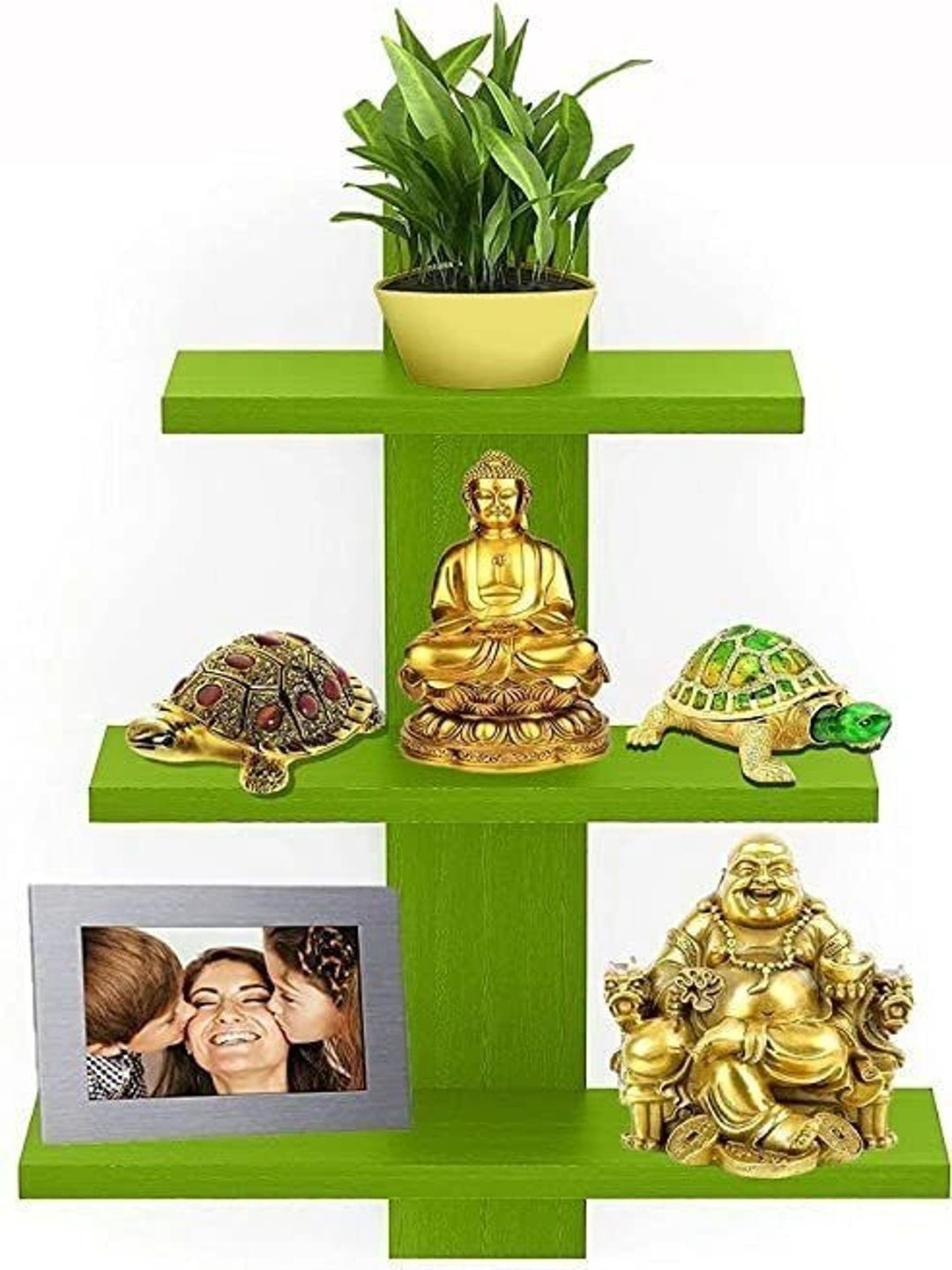 CraftOnline Green & Gold-Toned MDF-picture-43