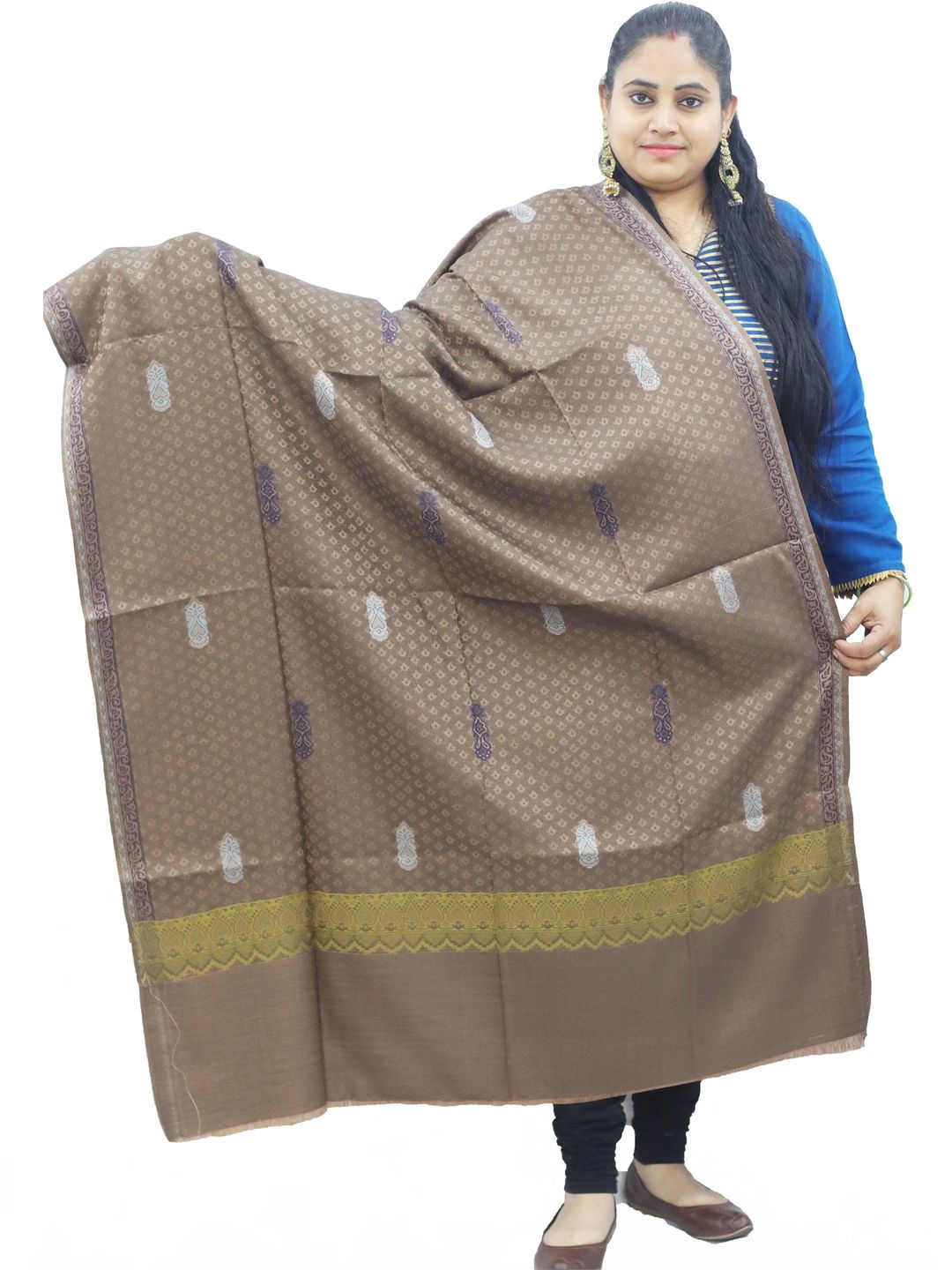 SPRHA Women Ethnic Motifs Woven Design Shawl-picture-18