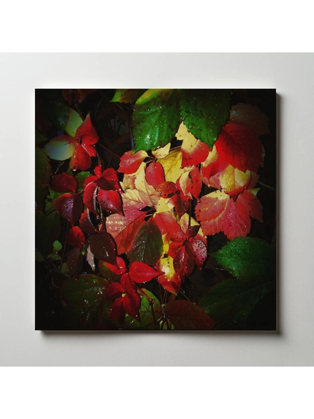 ARTOLIC Black & Red Close-Up Flowers Wall Sticker-image-36