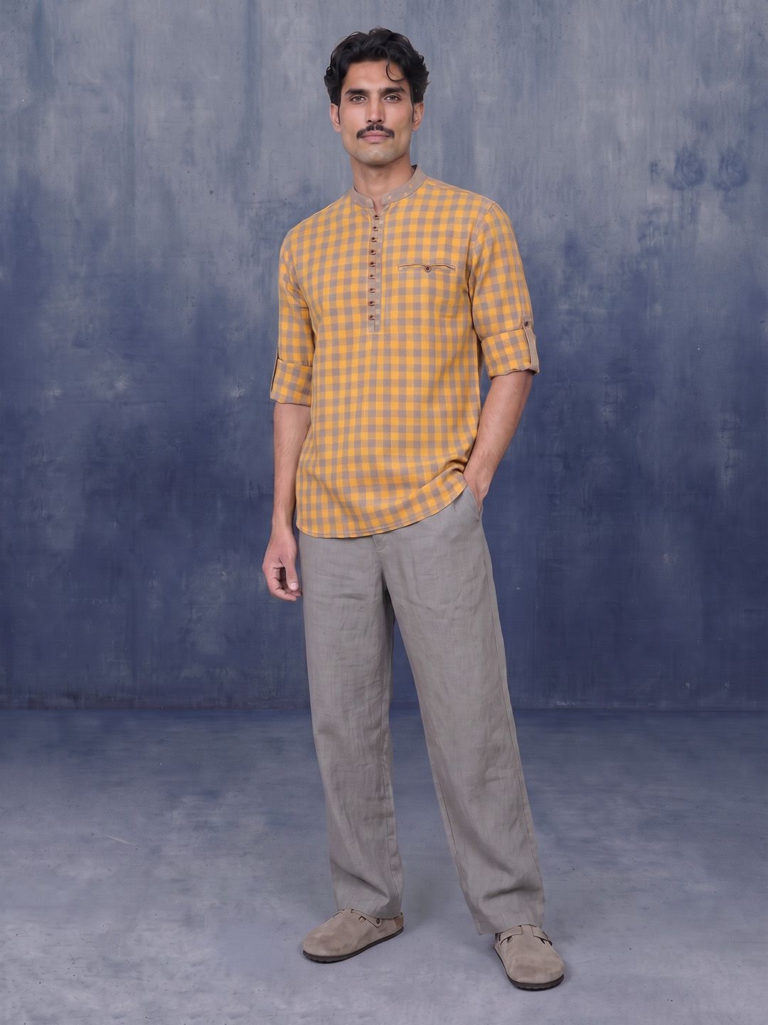 Taavi Woven Legacy Checked Pure Cotton Straight Kurta-picture-12