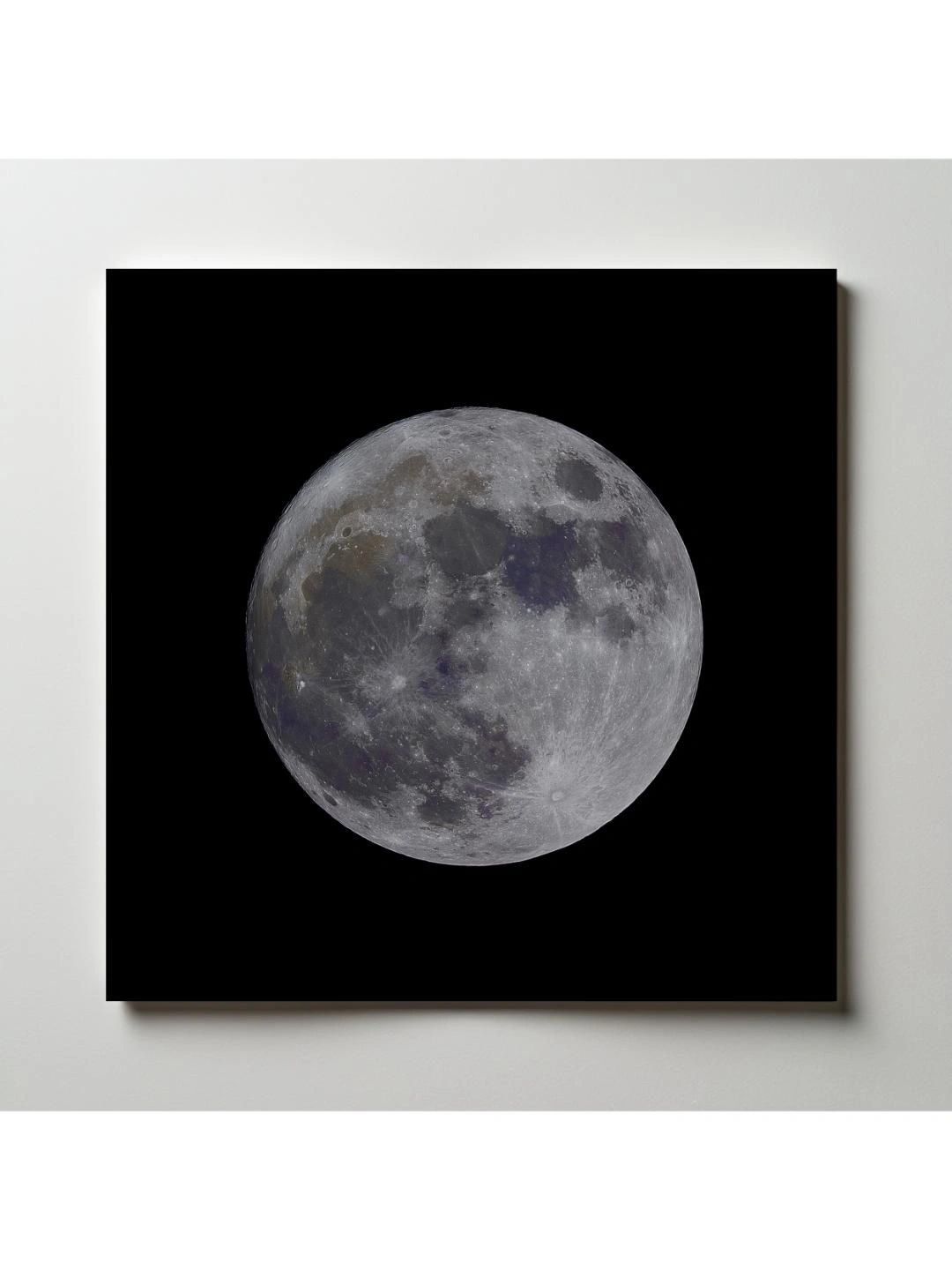ARTOLIC Black & Pink Moon Isolated Wall Sticker-image-3