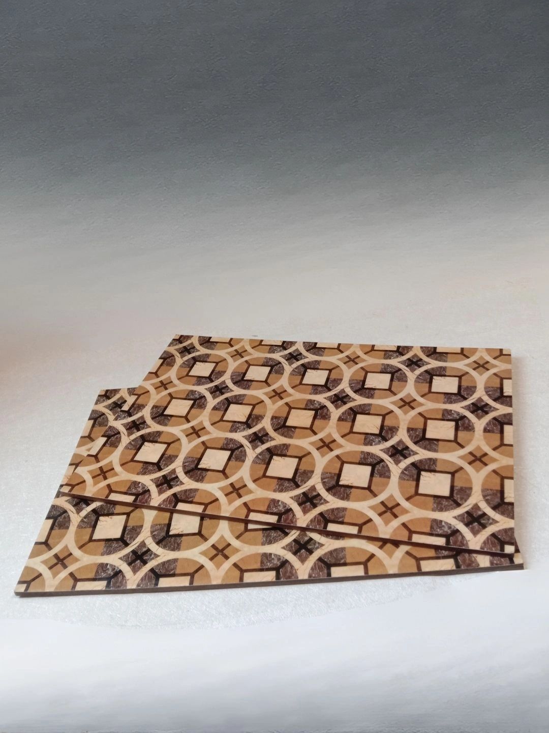 THE HOME CO. 2-Pcs Beige & Brown Printed Rectangle Table Placemats-picture-28