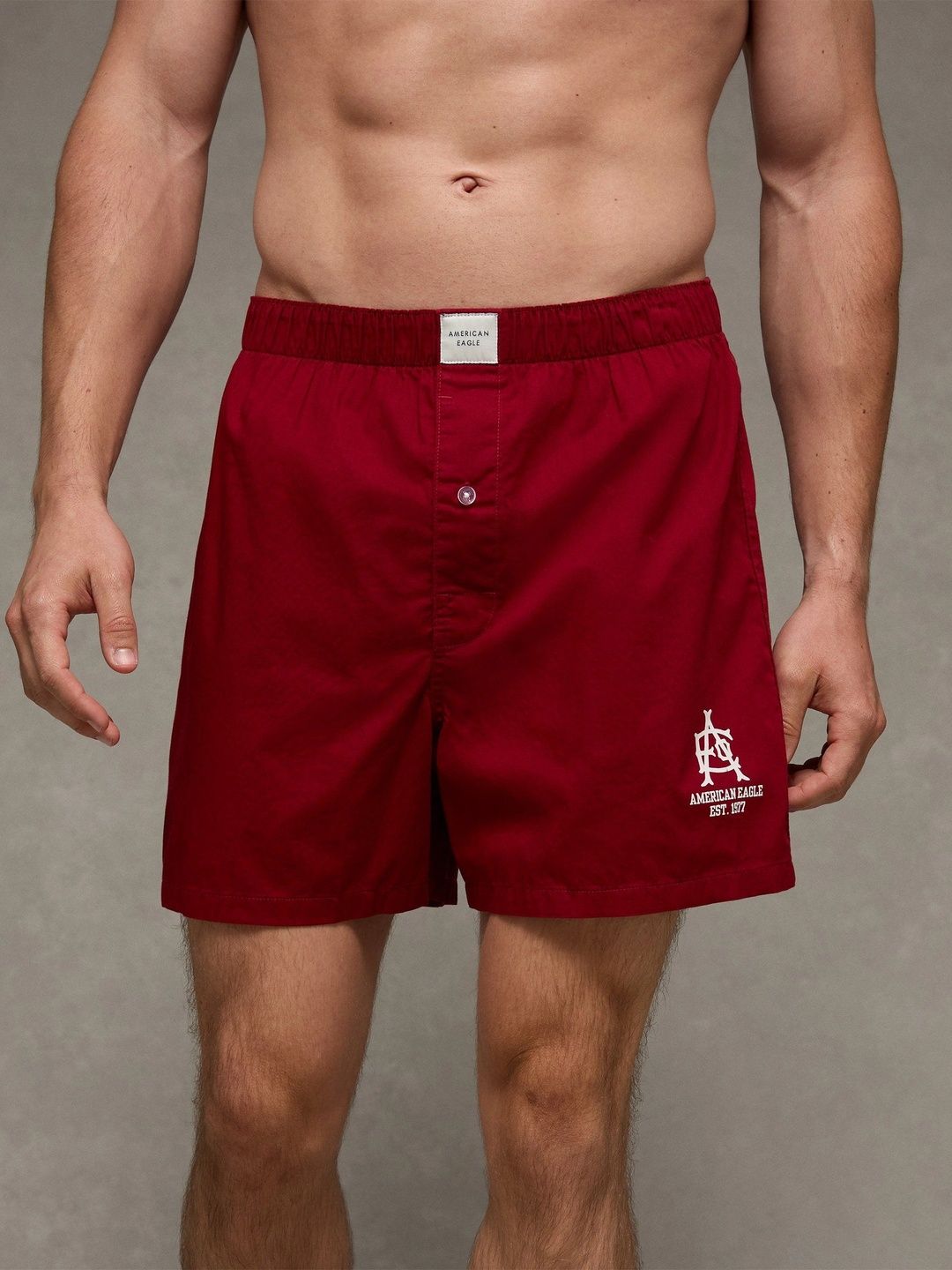AMERICAN EAGLE OUTFITTERS Men Printed Mid Rise Boxers-image-26