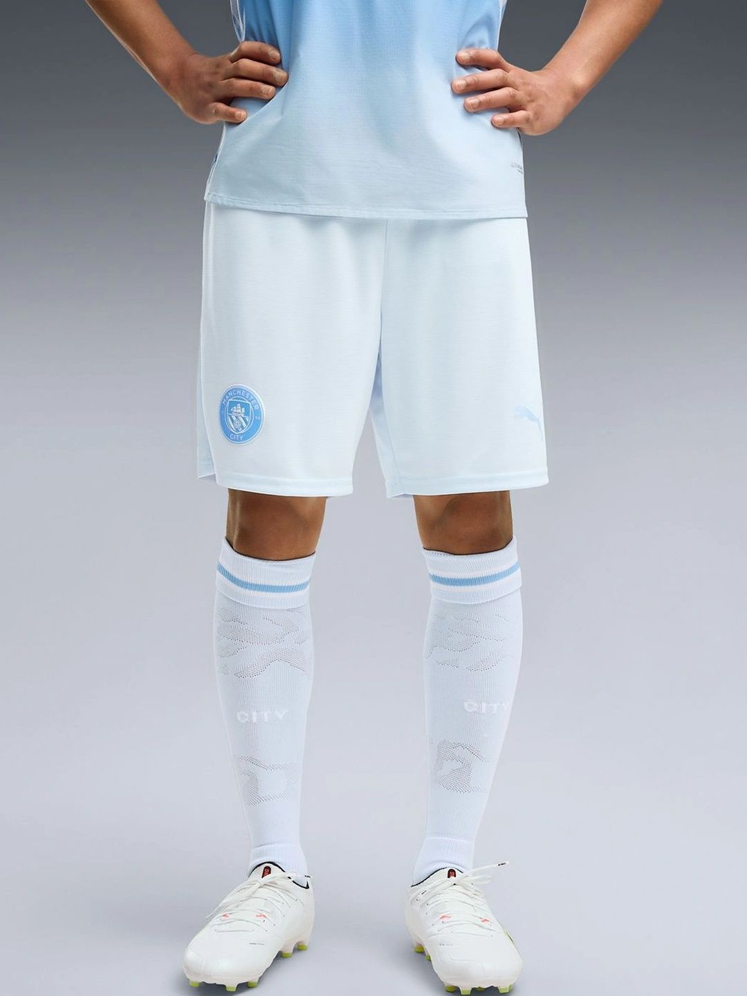 Puma Men Sports Shorts-picture-11