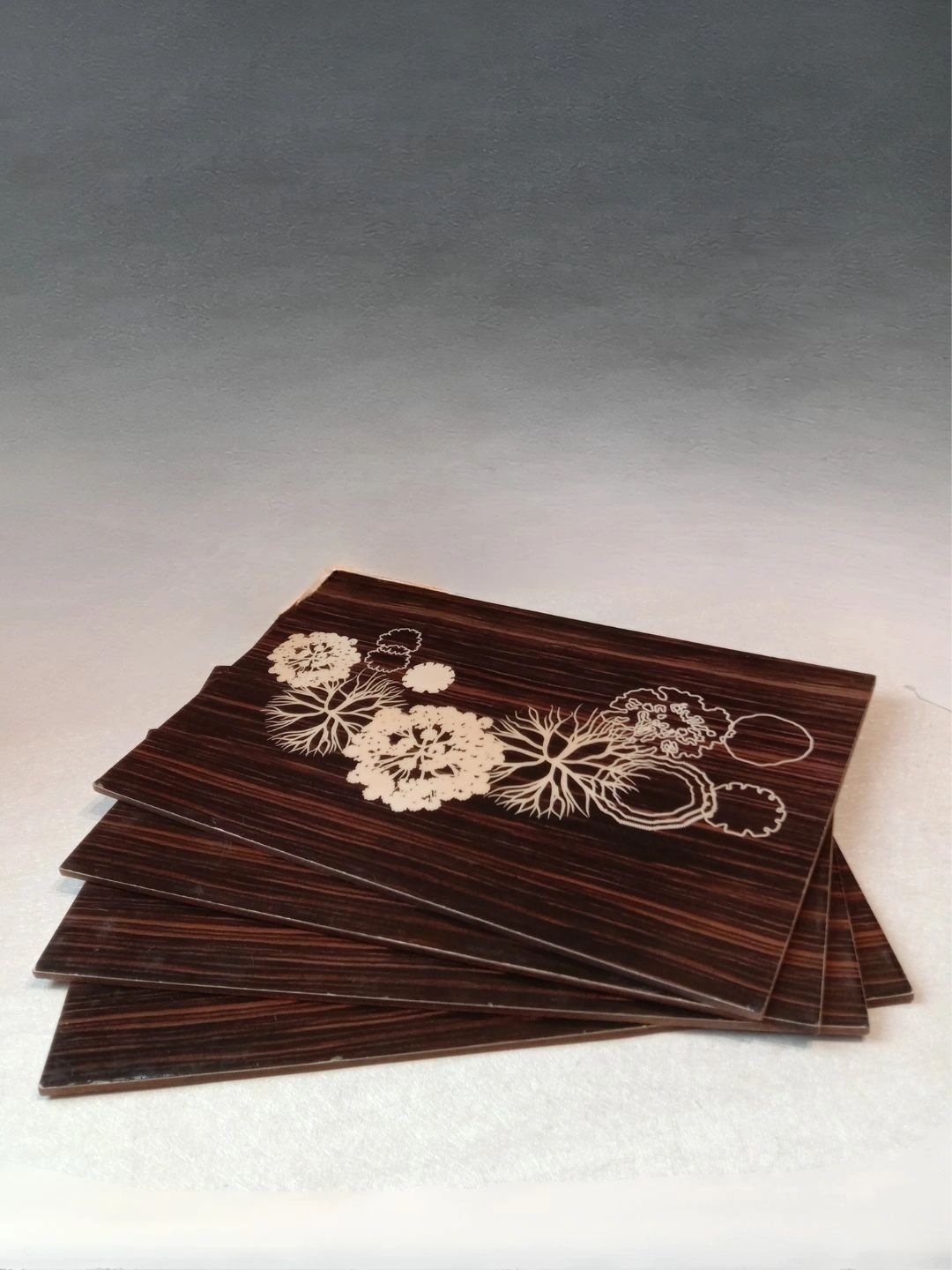 THE HOME CO. 4-Pcs Black & Brown Printed Rectangle Table Placemats-picture-17