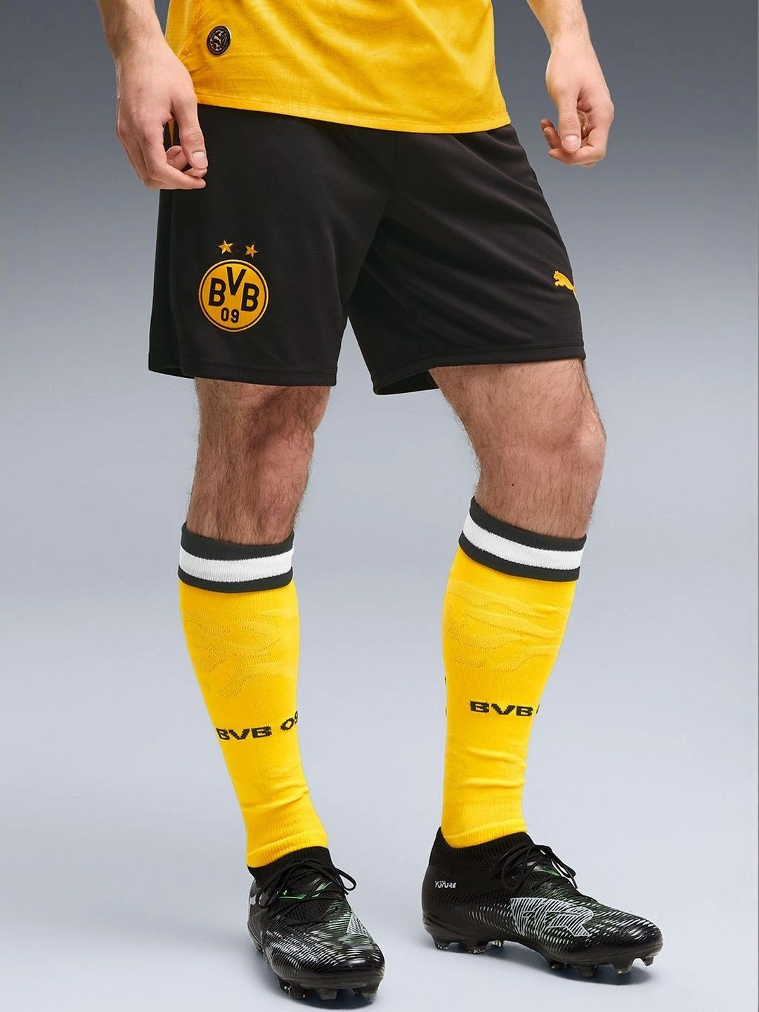 Puma Men Sports Shorts-picture-41