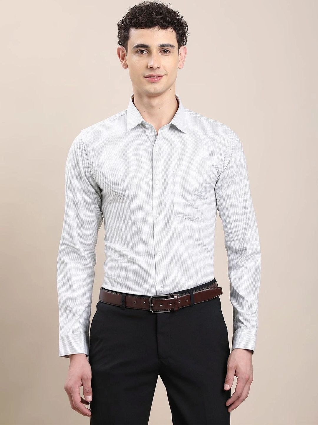 Turtle Men Standard Formal Shirt-picture-12