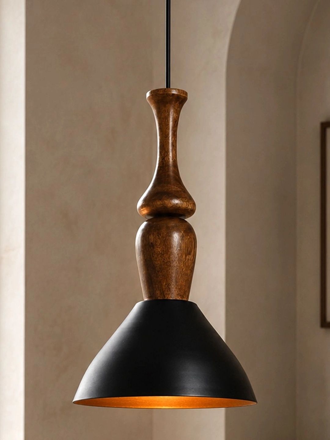 Homesake Black Ceiling Lamp-picture-30