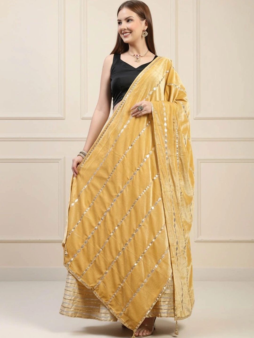 KALINI Velvet Dupatta with Mirror Work-picture-12