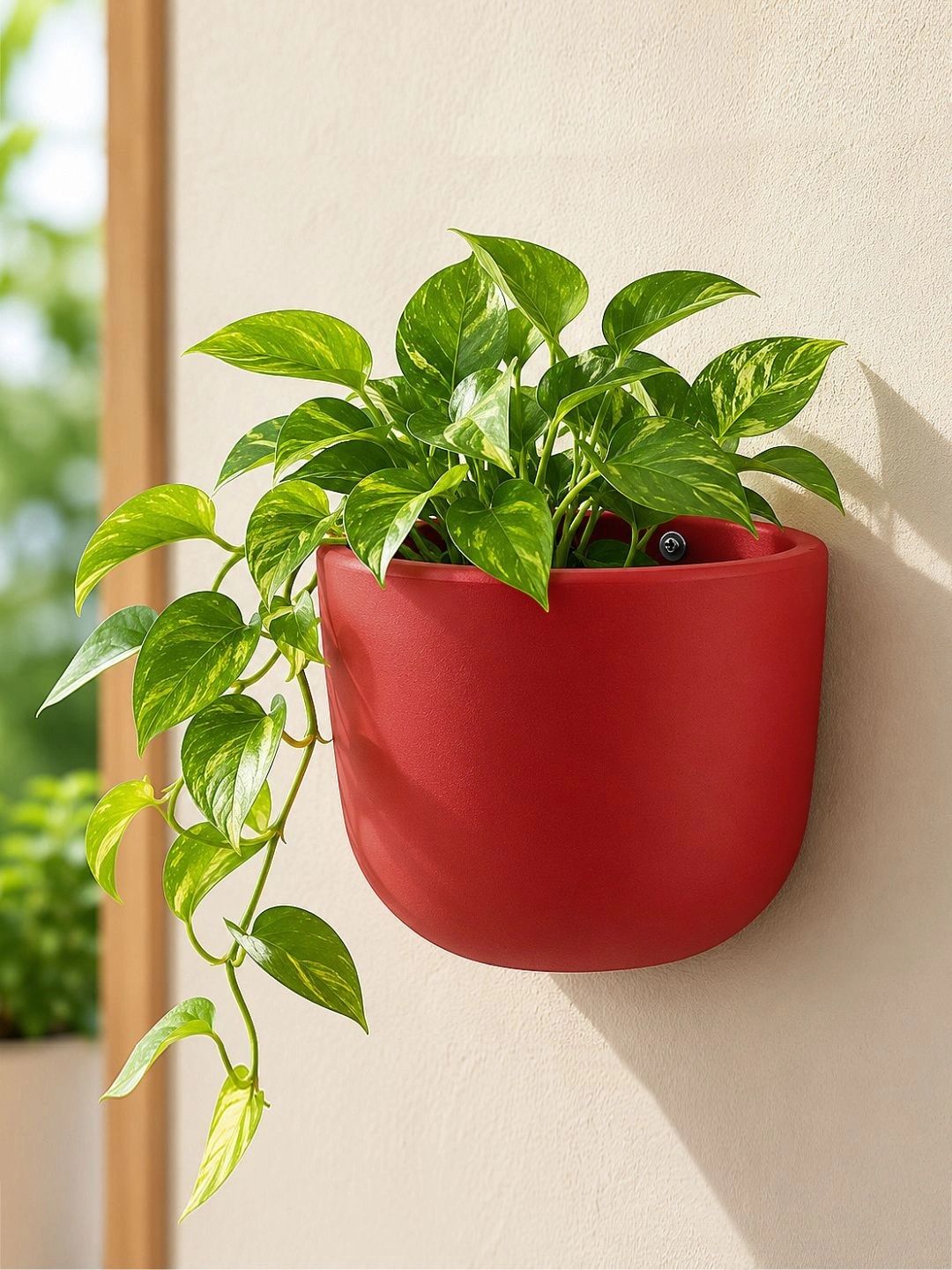 StyleMyWay Red Terracotta Wall Hanging Planter-image-31