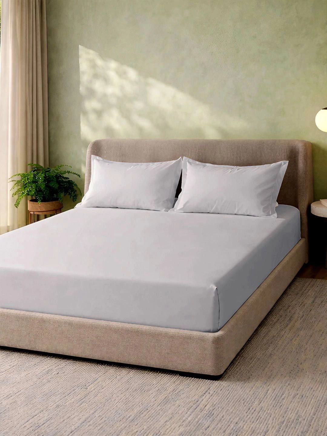 MYTRIDENT Grey 180 TC King Bedsheet with 2 Pillow Covers-picture-22