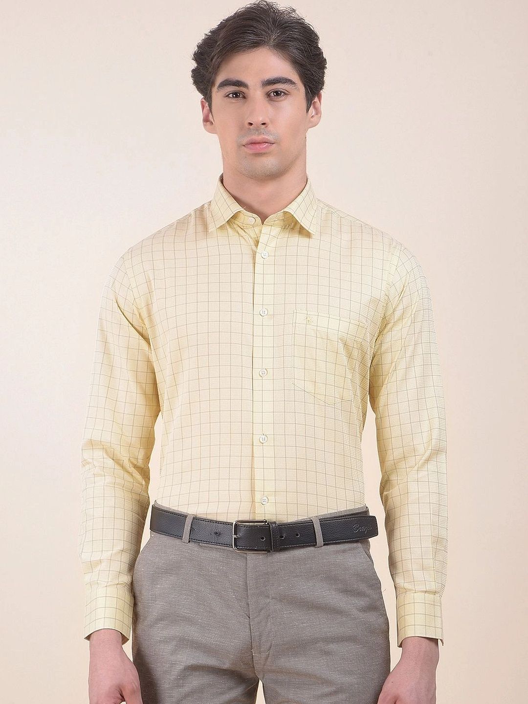 Cantabil Men Windowpane Checks Checked Formal Shirt-picture-48