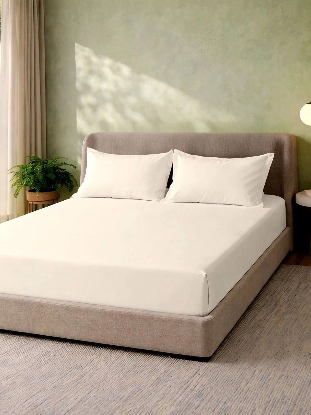 MYTRIDENT Cream-Coloured 180 TC King Bedsheet with 2 Pillow Covers-image-47