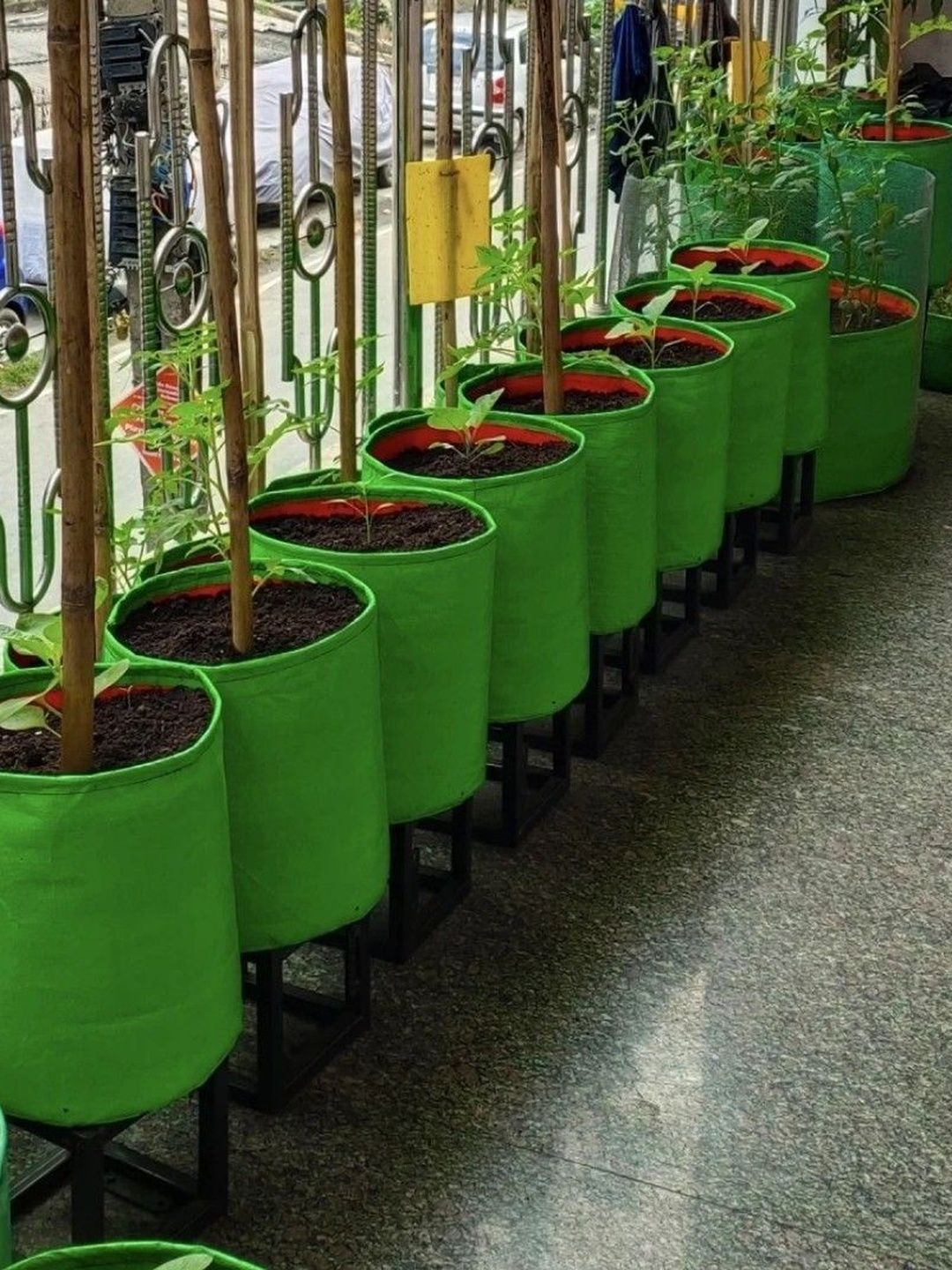 JIRSTAME 3-Pcs Green Terrace Gardening Planting bags-picture-22