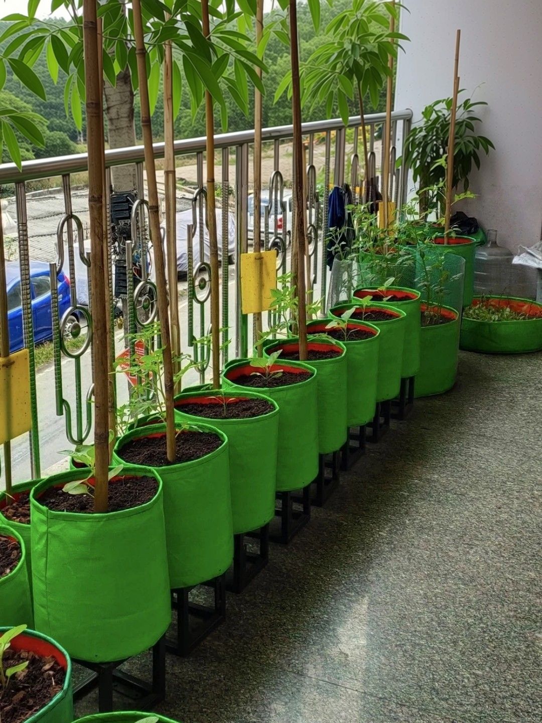 JIRSTAME 9-Pcs Green Terrace Gardening Planting bags-image-9