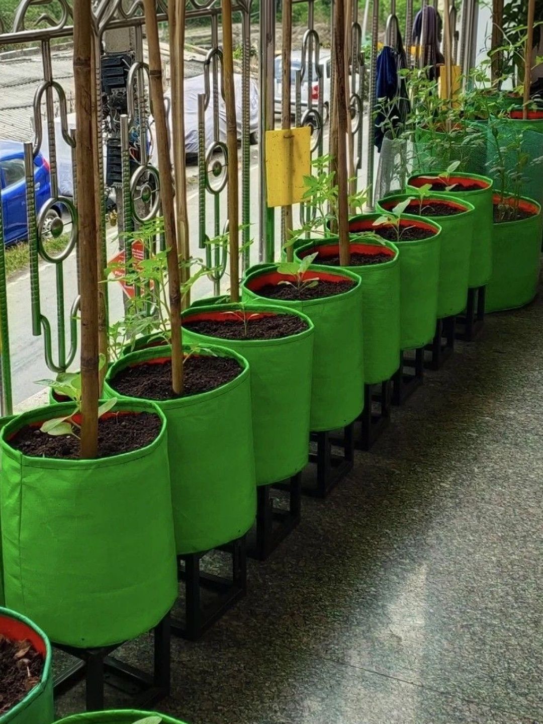JIRSTAME 9-Pcs Green Terrace Gardening Planting bags-image-8