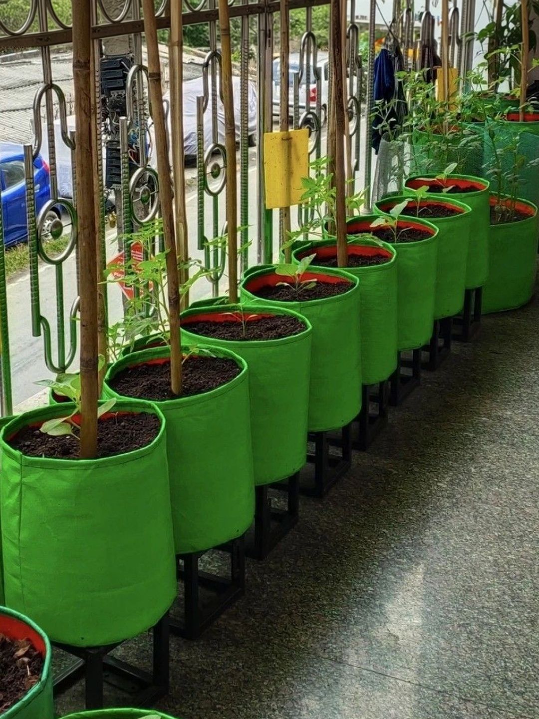 JIRSTAME 10-Pcs Green Terrace Gardening Planting bags-image-4