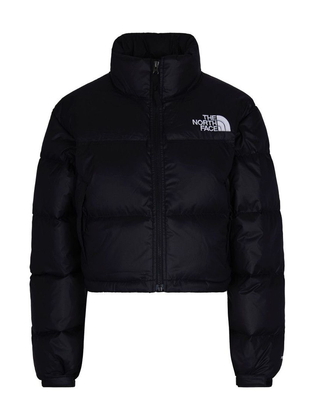 the north face Black Logo Mock Collar Jacket-picture-26